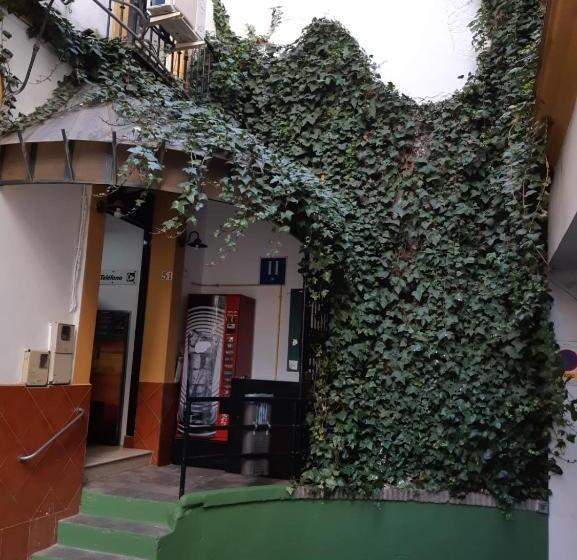 اتاق استاندارد چهار تخته, Hostal Alcobia