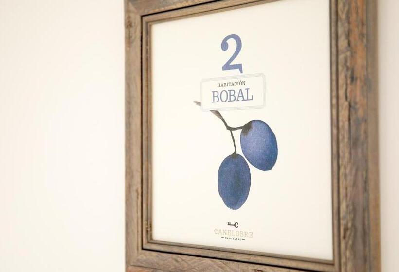 标准间内部标间, Boutique Canelobre