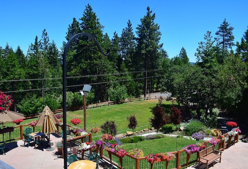 جناح تنفيذي مع إطلالات, Callahan S Mountain Lodge