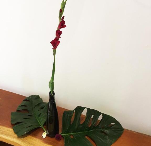 اتاق لوکس با تخت بزرگ, Cabrera Chalet Boutique