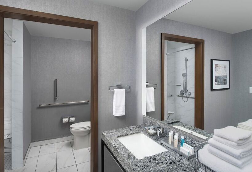 اتاق استاندارد تودرتو, Embassy Suites By Hilton Knoxville Downtown