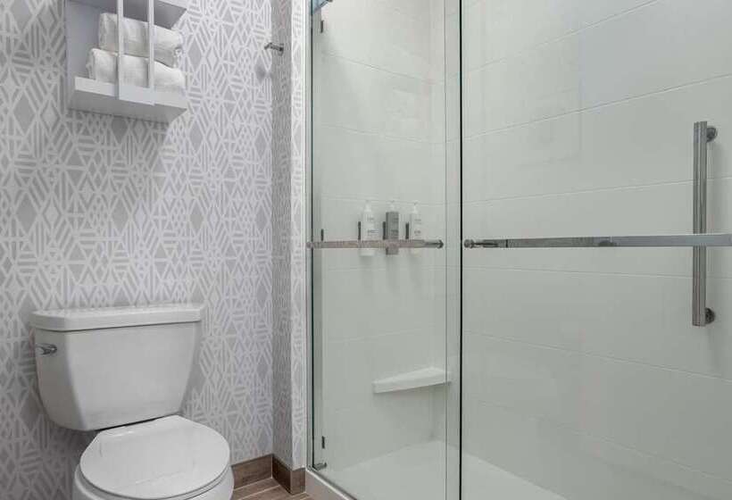 اتاق استاندارد با تخت بزرگ, Embassy Suites By Hilton Knoxville Downtown