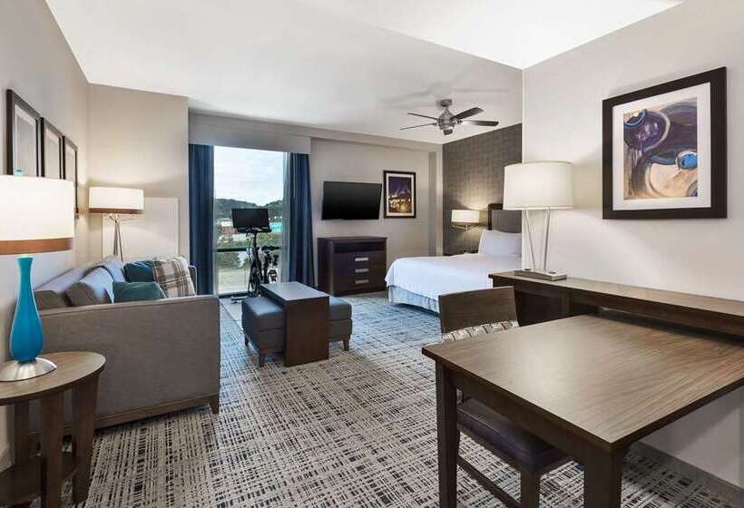 اتاق استاندارد با تخت بزرگ, Embassy Suites By Hilton Knoxville Downtown