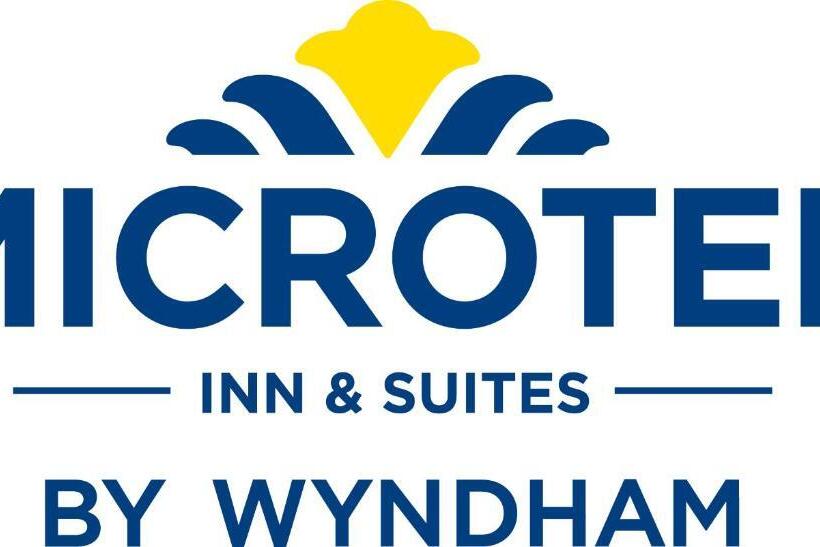 适合残疾人使用的标准间, Microtel Inn & Suites By Wyndham College Station