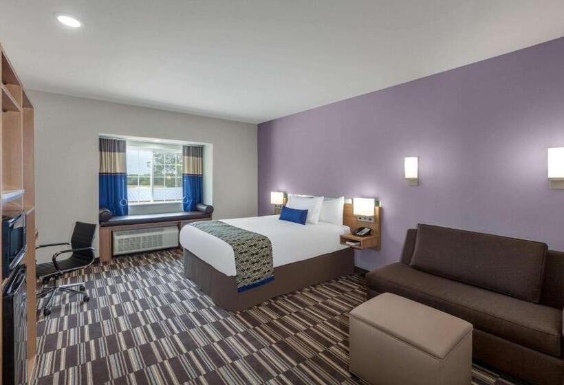 适合残疾人使用的标准间, Microtel Inn & Suites By Wyndham College Station