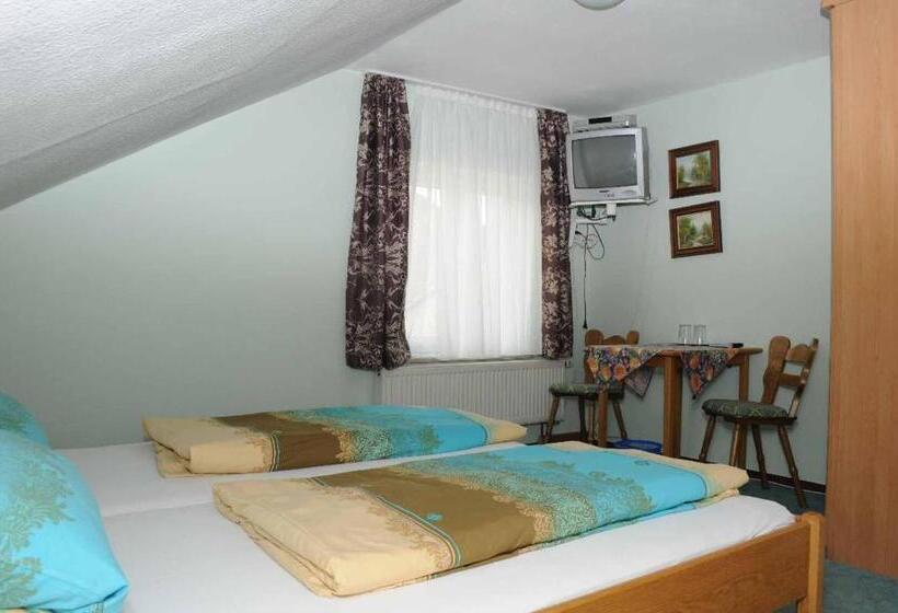 غرفة قياسية, Pension Holzapfel