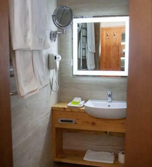 اتاق استاندارد با دسترسی به اسپا, Baron Spa Hotel Museum Yaremche