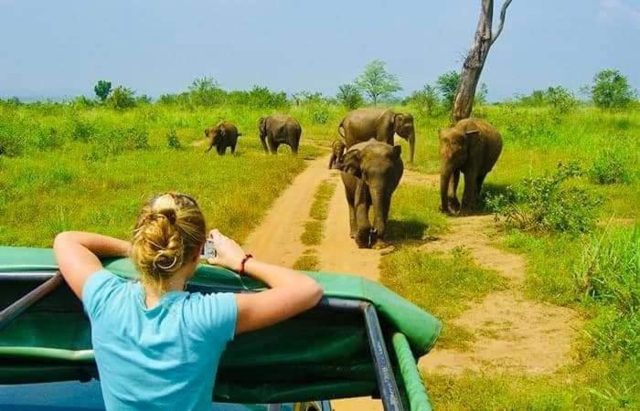 豪华三人间, Amron Resort Sigiriya