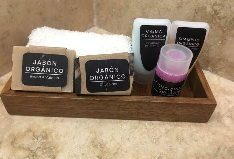 Номер Стандарт, Plaza Catedral