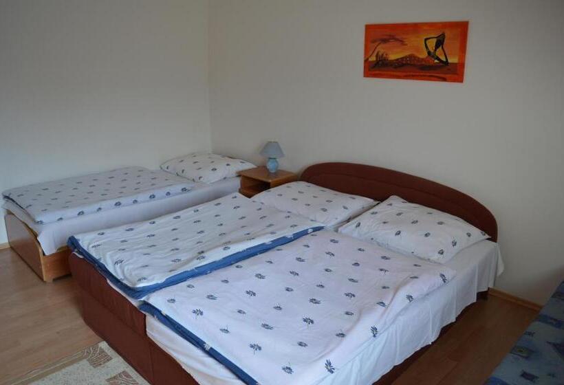 شقة غرفة واحدة, Davi Penzion & Bowling