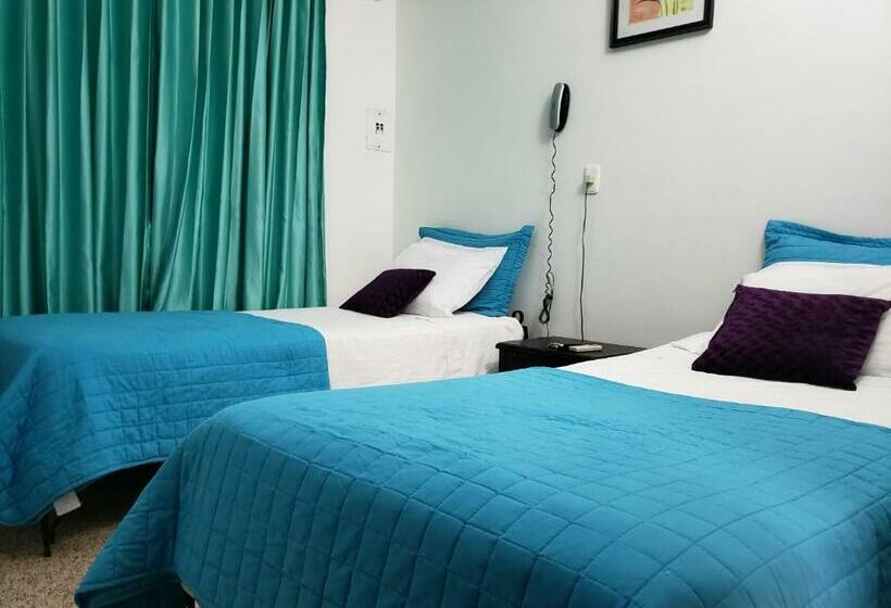 스탠다드 룸, Radoa