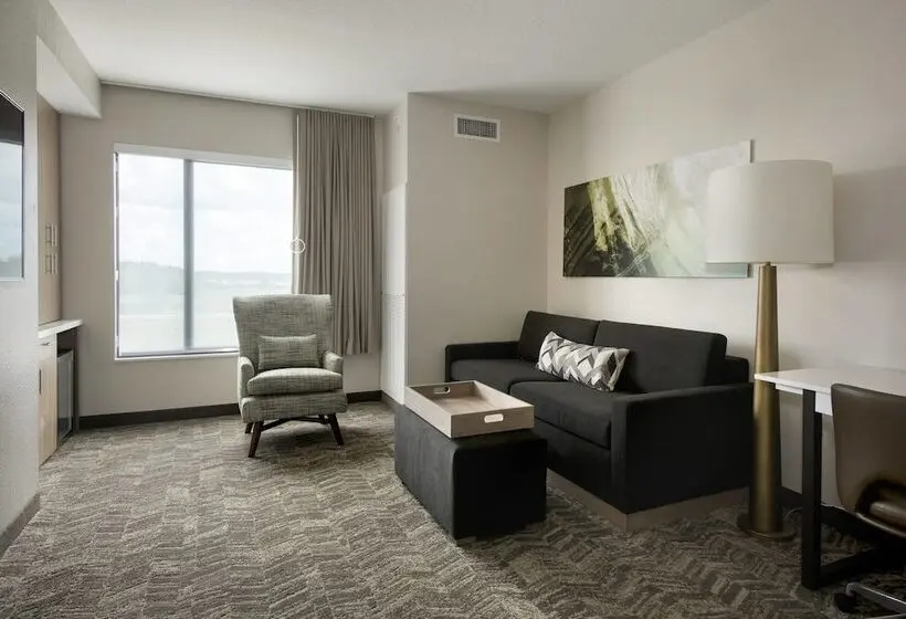 スイート, Springhill Suites By Marriott Tampa Suncoast Parkway