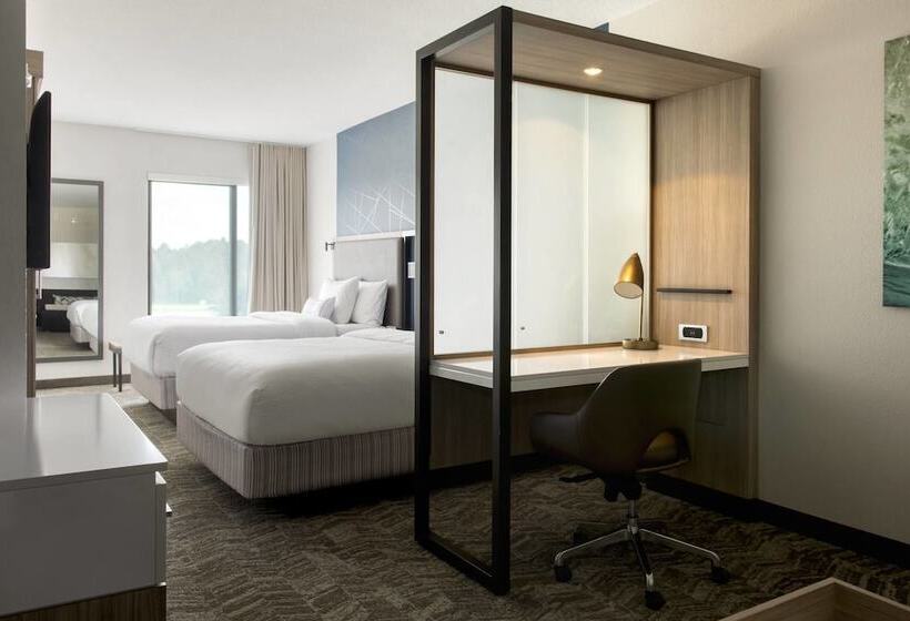 스위트, Springhill Suites By Marriott Tampa Suncoast Parkway