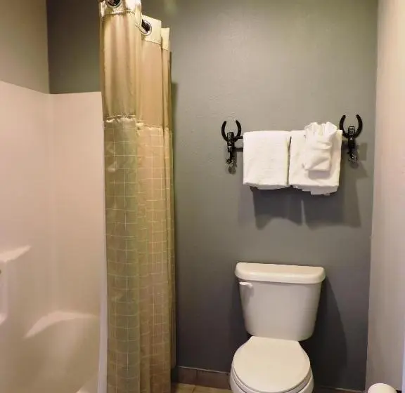 Deluxe-huone, Riata Inn Presidio
