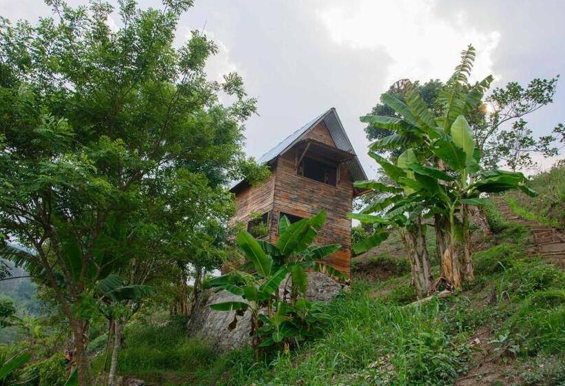 تختخواب در اتاق مشترک, Ch'i Bocól Community Hostel