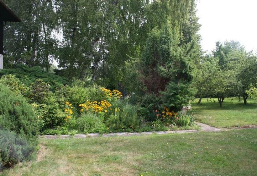 חדר סטנדרט, Barvicka