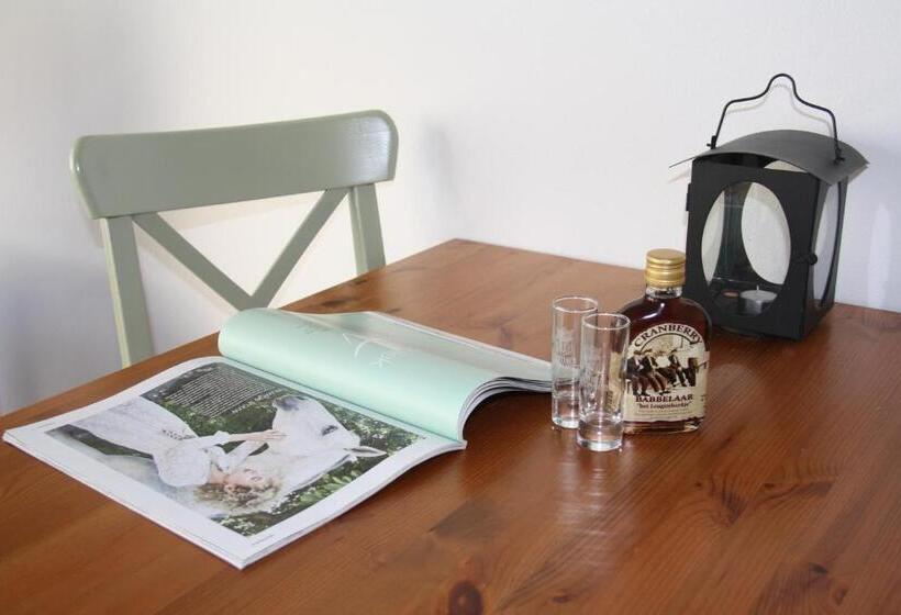 スタンダードスタジオ, Appartementenhotel Tjermelân Terschelling