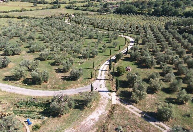 חדר דלוקס לשלושה, Casetta Dell`uliveto