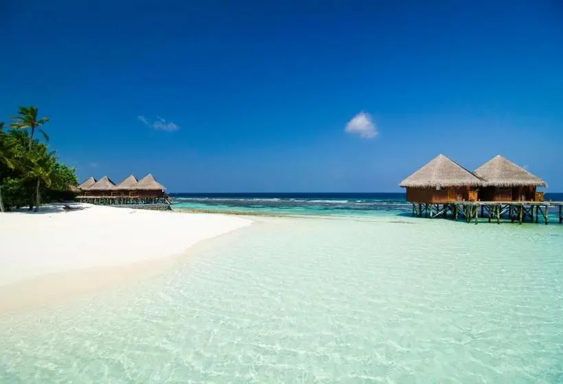 ویلای 1 خوابه, Mirihi Island Resort