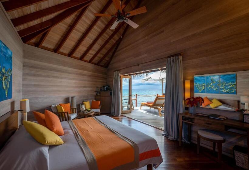 ویلای 1 خوابه, Mirihi Island Resort