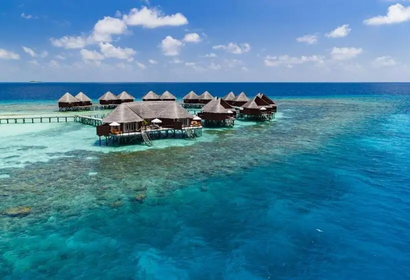 ویلای 1 خوابه, Mirihi Island Resort