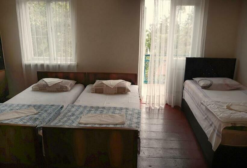 اتاق استاندارد سه تخته با بالکن, Achi Guest House