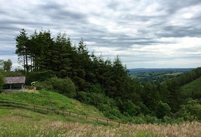 منزل غرفة نوم واحدة, Bryngolau