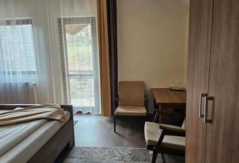 标准间带露台, Pensiunea Michael's House