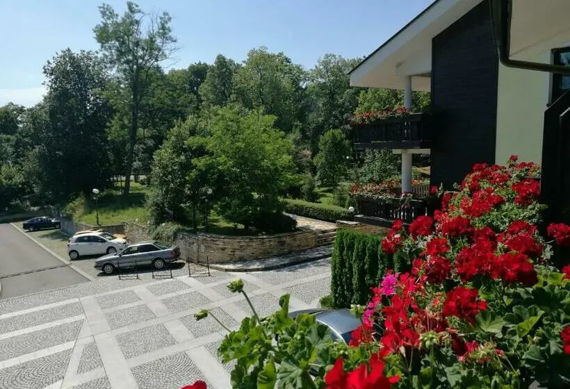 バルコニー付きスタンダードルーム, Park Hotel Izvorite