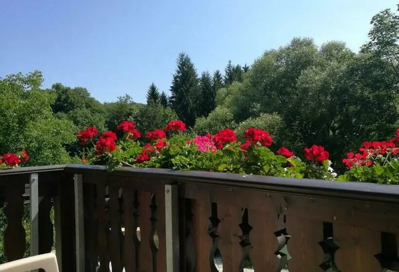 バルコニー付きスタンダードルーム, Park Hotel Izvorite