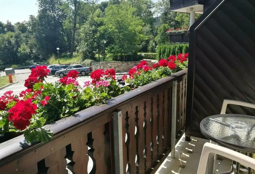 バルコニー付きスタンダードルーム, Park Hotel Izvorite