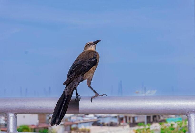 디럭스 룸 바다 전망, Sol Inn Santa Marta