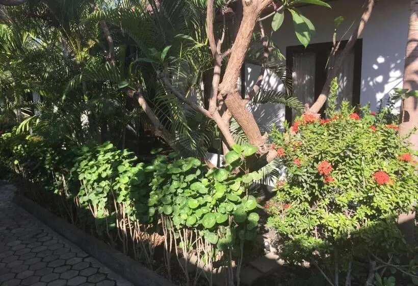 اتاق استاندارد, Scuba Tribe Bali Dive Resort