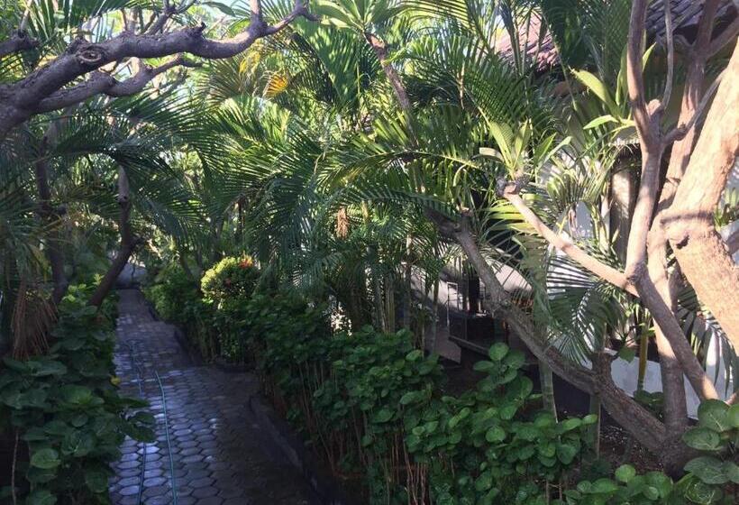 Номер Стандарт, Scuba Tribe Bali Dive Resort