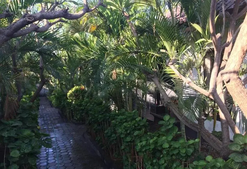 اتاق استاندارد, Scuba Tribe Bali Dive Resort