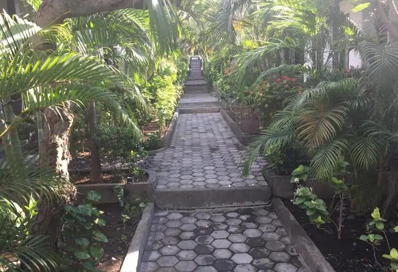 اتاق استاندارد, Scuba Tribe Bali Dive Resort