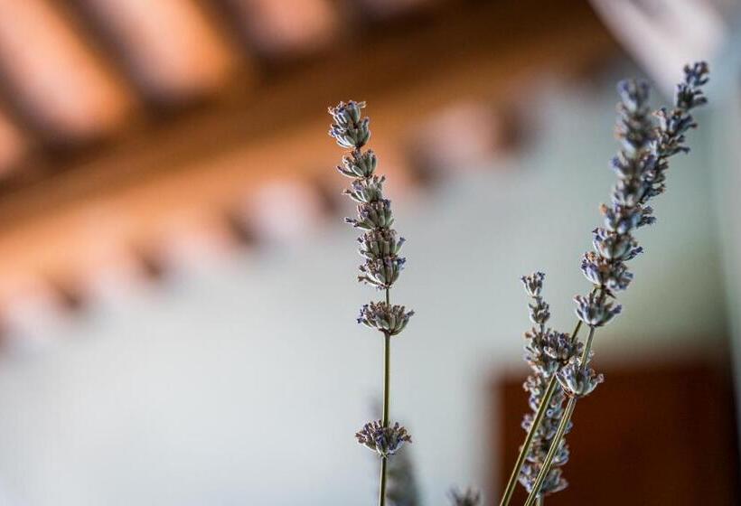 带2个卧室的套房, Borgo Castello Panicaglia