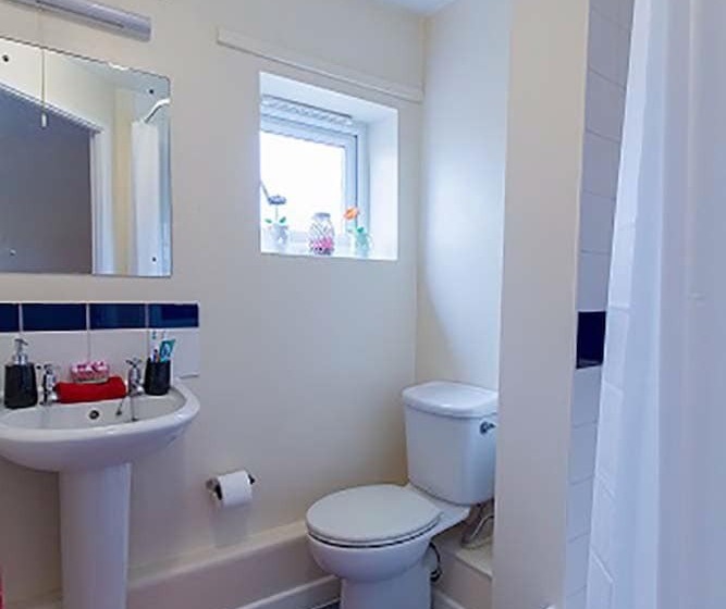 استودیوی لوکس, Axo Shelbourne