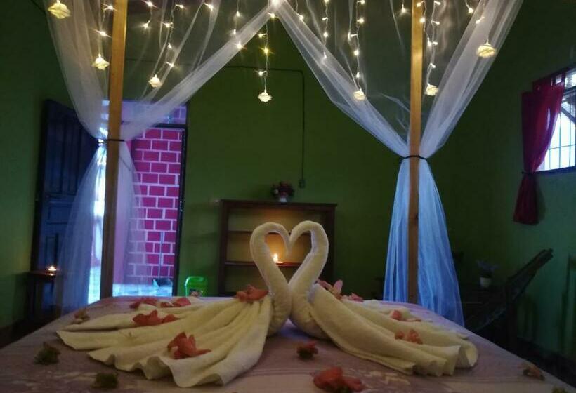 Pokój Standard Wspólna Łazienka, Perezoso Hostel