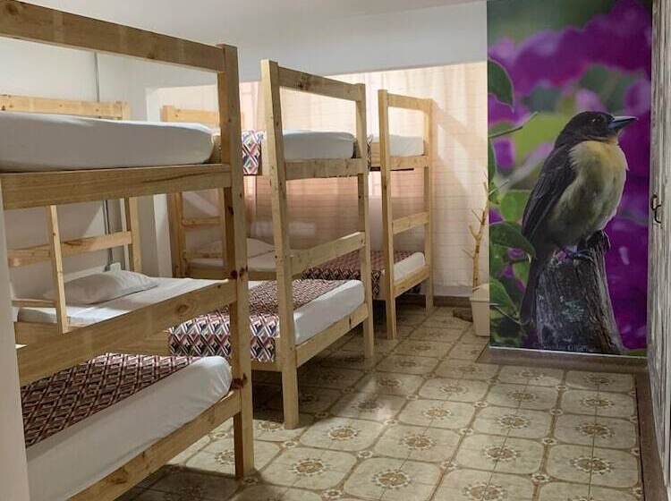 Cama em Quarto Compartilhado, La Otra Mitad Hostel