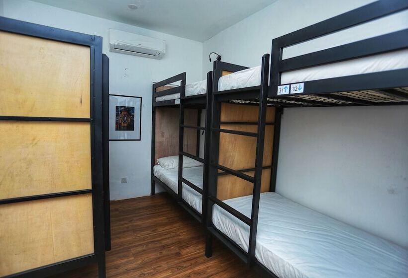 Кровать в Общей Комнате, The Bedpackers Hostel