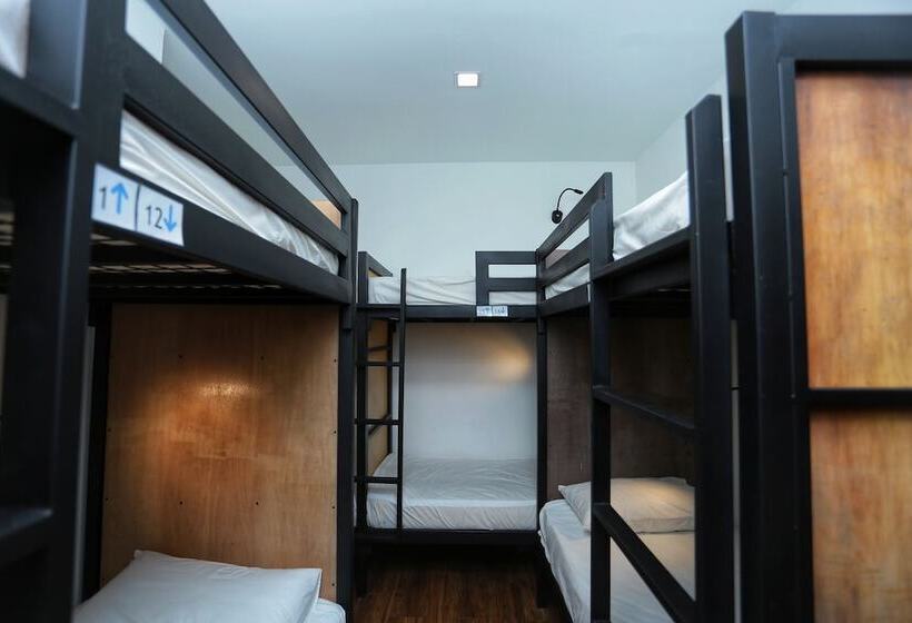 ルームシェアのワンベッド, The Bedpackers Hostel