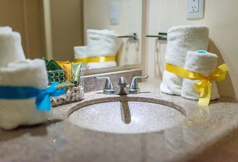 آپارتمان 1 خوابه, Aqua Viva Suites