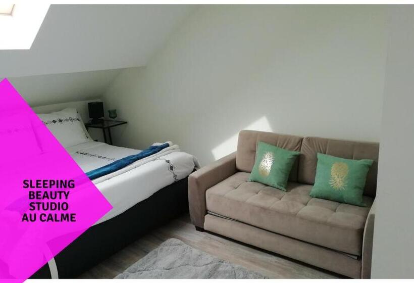 Студио Стандарт Вид на Сад, Cosy Studios La Gambeta