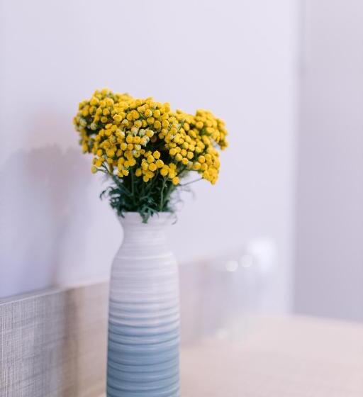 اتاق استاندارد با بالکن, Gyumri Apart