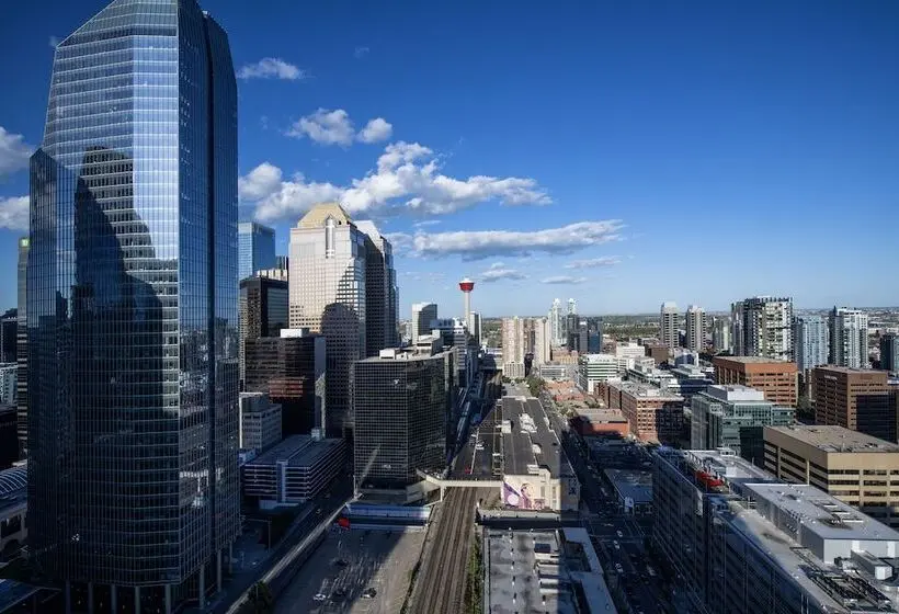 ダブルベッドのスタンダードスタジオ, Residence Inn By Marriott Calgary Downtown/beltline District