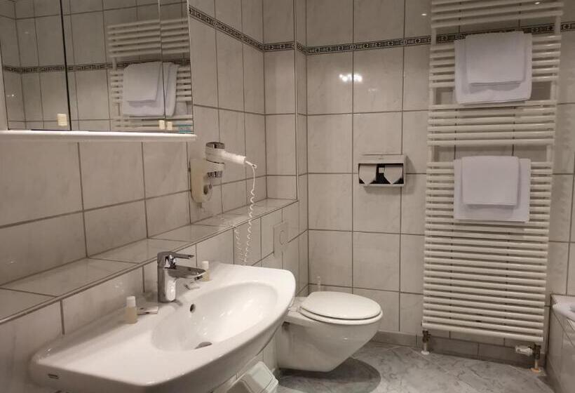 Quarto Estandar Individual, Restaurant Pfeffermuhle Balingen