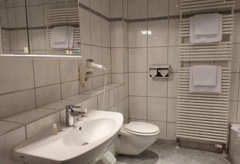 Standard Yhden Hengen Huone, Restaurant Pfeffermuhle Balingen