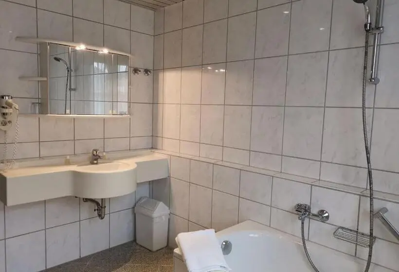 Economy-huone, Restaurant Pfeffermuhle Balingen