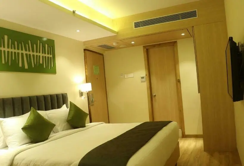 Habitación Deluxe, Regenta Central Harsha Vapi